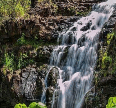 Tall tropical waterfall cascading down a lush green mountainside in Honolulu, surrounded by dense vegetation