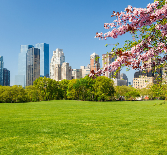 Central Park pathway in autumn