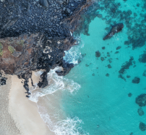 A postcard-perfect backdrop can be discover along Oahu.