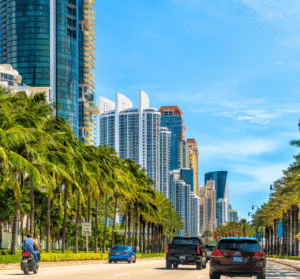 Palm-lined road leading toward the downtown Miami skyline under a clear sky