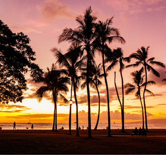 Vibrant sunset over the ocean in Honolulu with golden and pink hues reflecting on the water and silhouetted palm trees along the shore