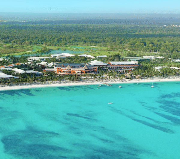 Palm-lined beach with soft sand and gentle ocean waves