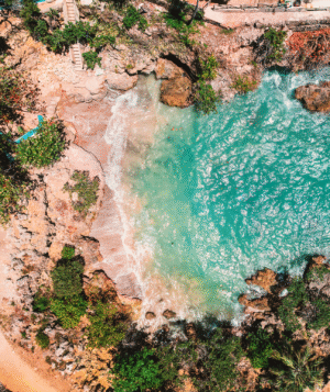 Clear freshwater cenote surrounded by lush tropical greenery