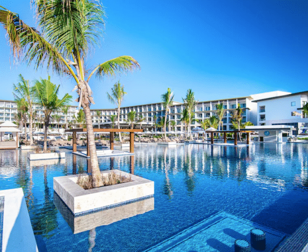 Large swimming pool framed by tall palm trees and lounge seating