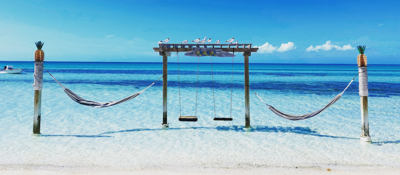 Wooden swings hanging from palm trees on a sandy Jamaica beach