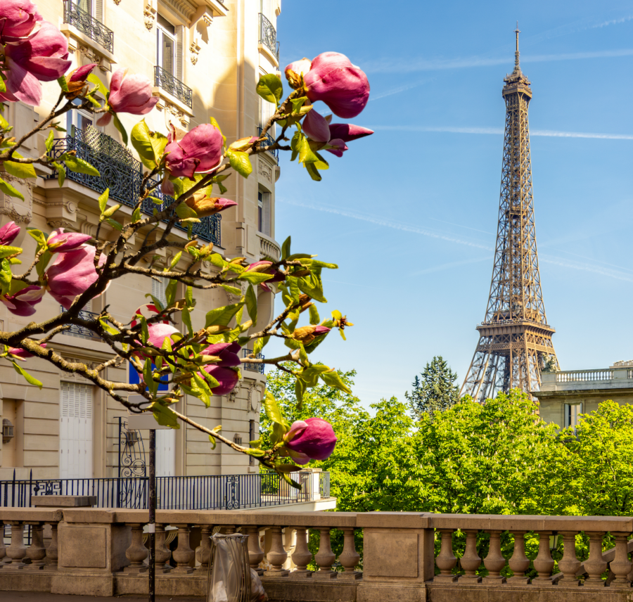 Eiffel Tower Paris landmark