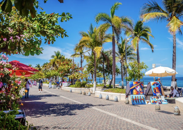 Palm tree-lined beachfront street with ocean views and tropical scenery