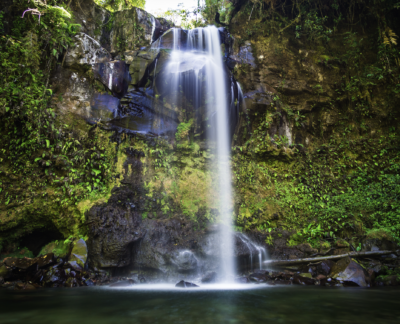 Embera waterfall surrounded by dense jungle in Panama.