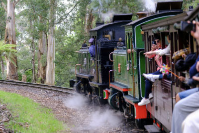 Puffing Billy steam train through lush forest