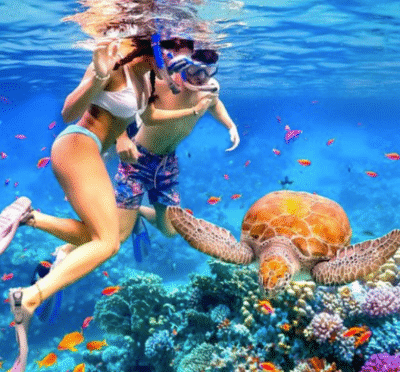 People snorkeling in clear turquoise water off Honolulu’s coast with tropical fish visible below the surface