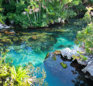 Natural limestone cenote with clear blue water surrounded by lush greenery